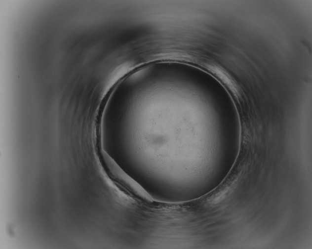 X0000093490999200710121503
