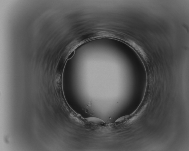 X0000093491001200710121503