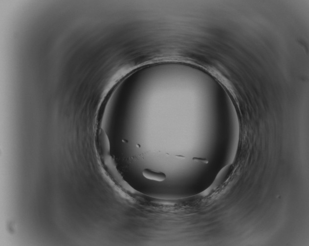 X0000093491005200710121503