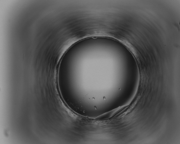X0000093491006200710121503