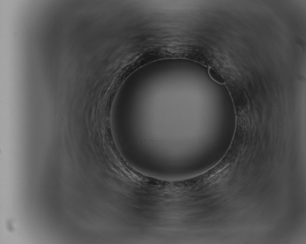 X0000093491009200710121502