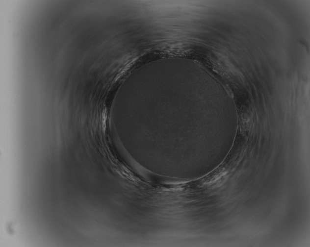 X0000093491010200710121502