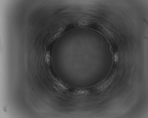 X0000093491011200710121502