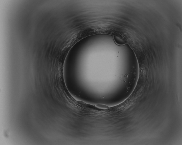 X0000093491012200710121502