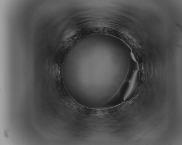 X0000093491013200710121502