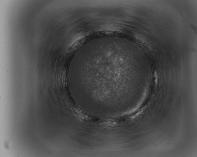 X0000093491014200710121502