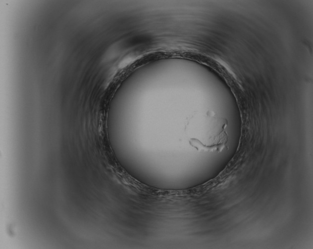 X0000093491016200710121502