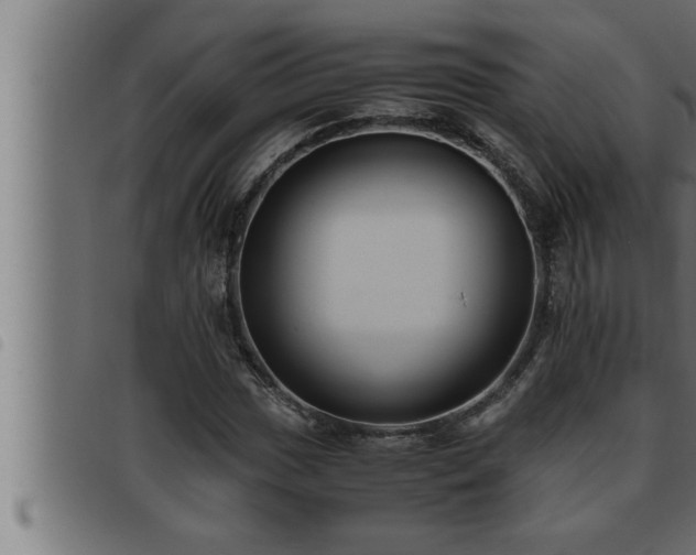 X0000093491017200710121502