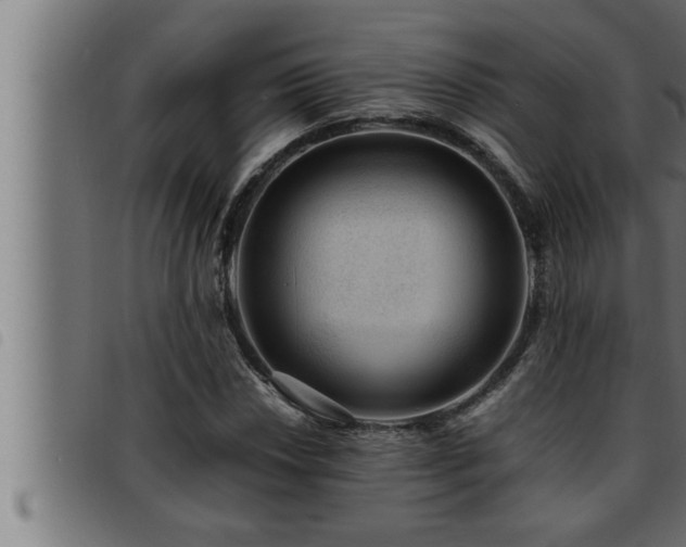 X0000093491018200710121502