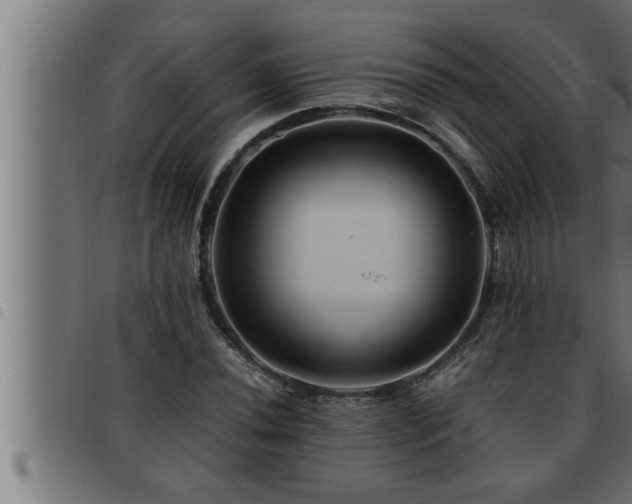 X0000093491020200710121502