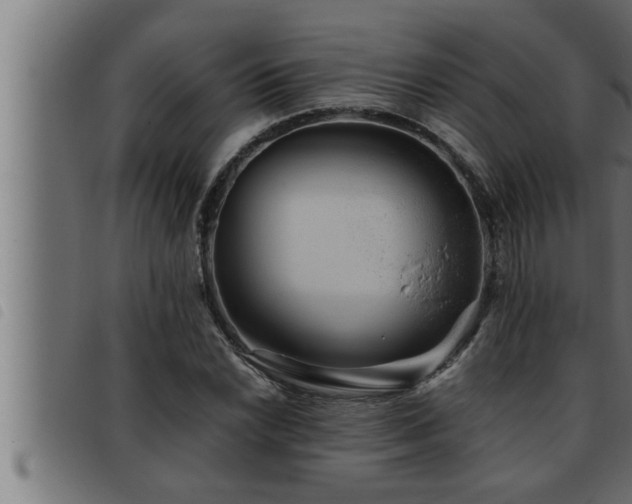X0000093491022200710121502