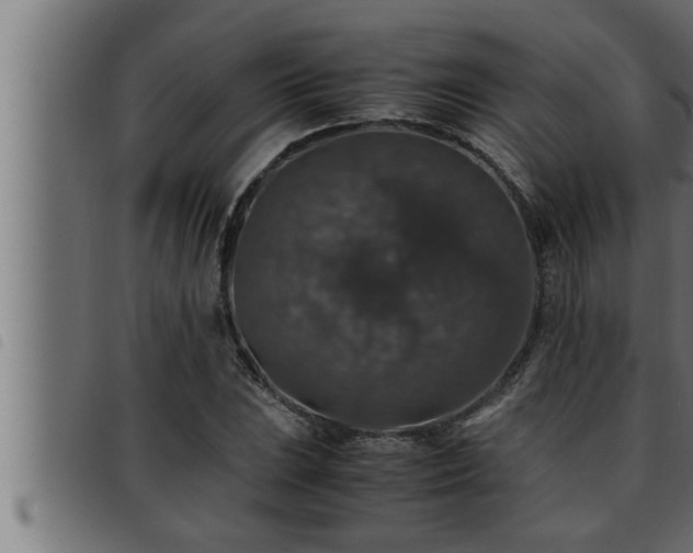 X0000093491023200710121502