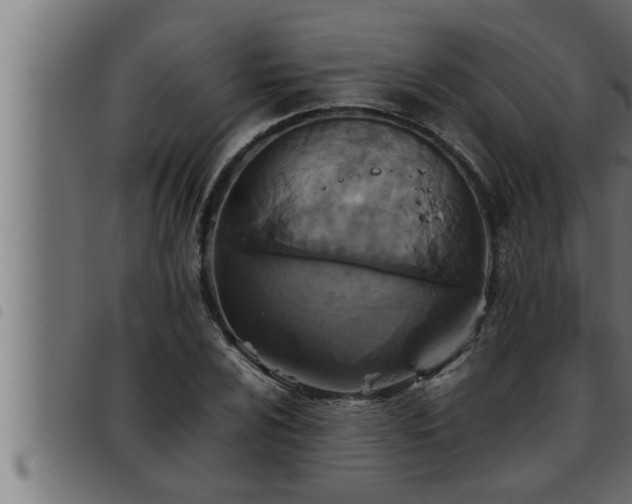 X0000093491024200710121502