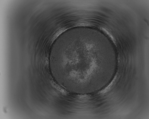 X0000093491025200710121502