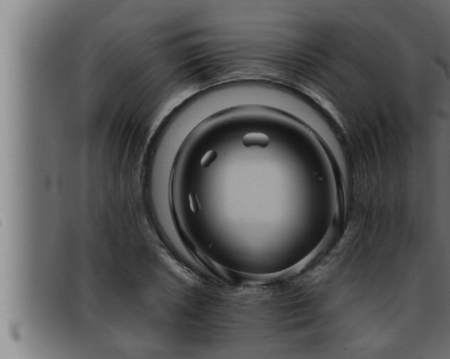 X0000093491026200710121502