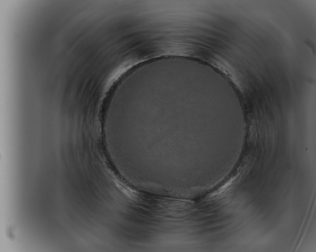 X0000093491027200710121502