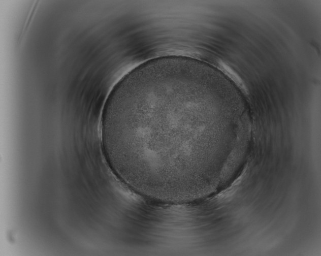 X0000093491028200710121502