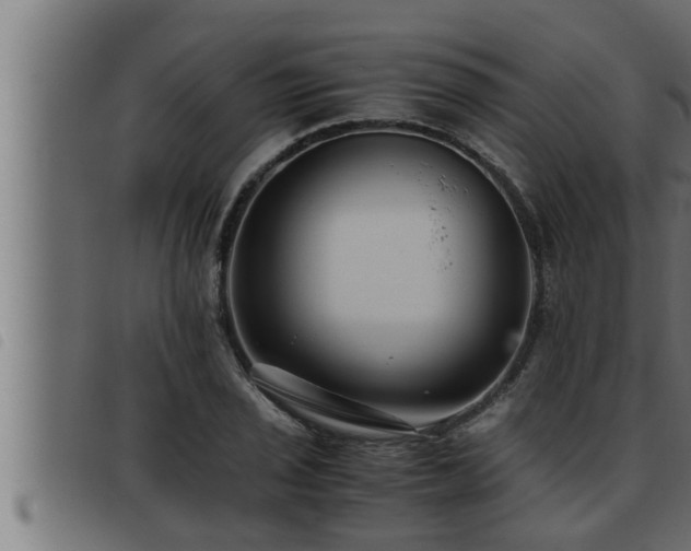 X0000093491029200710121502