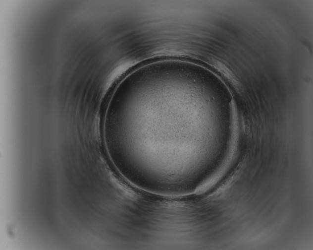 X0000093491030200710121502