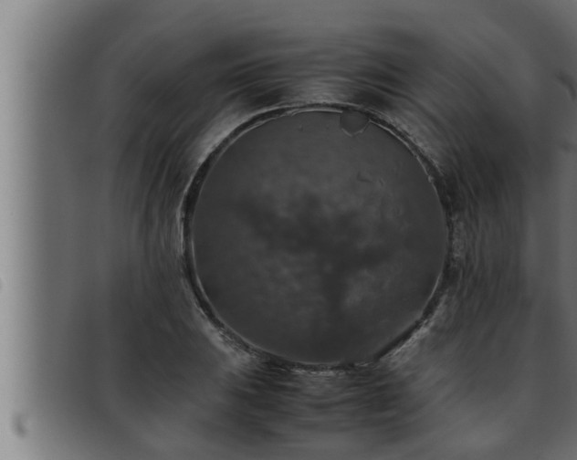 X0000093491031200710121502
