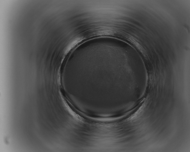 X0000093491034200710121502