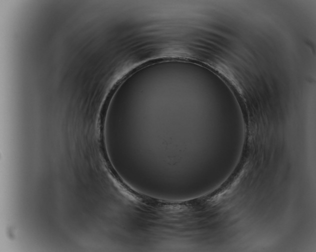 X0000093491037200710121502