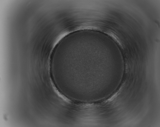 X0000093491038200710121502