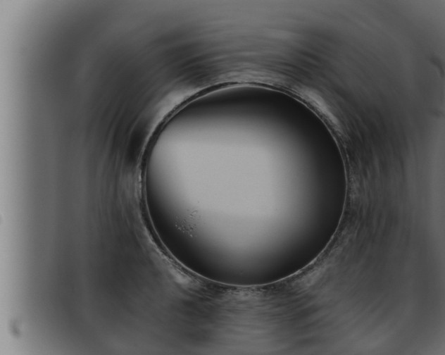X0000093491040200710121502
