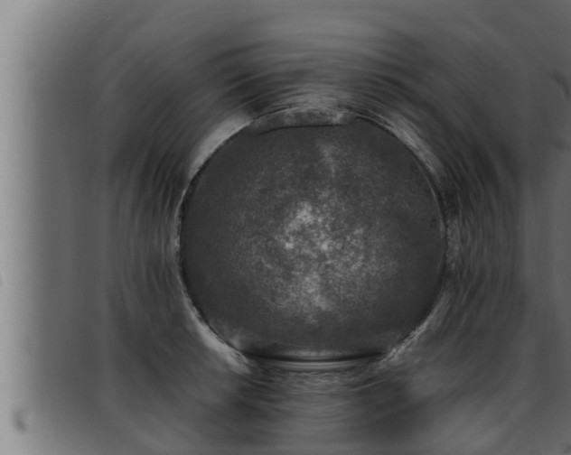 X0000093491042200710121502