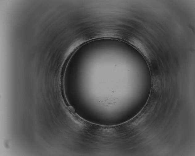 X0000093491043200710121502