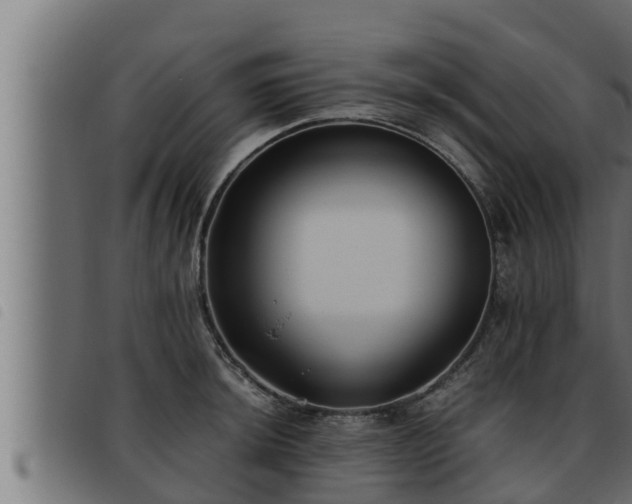 X0000093491044200710121502