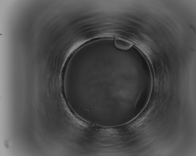 X0000093491045200710121502