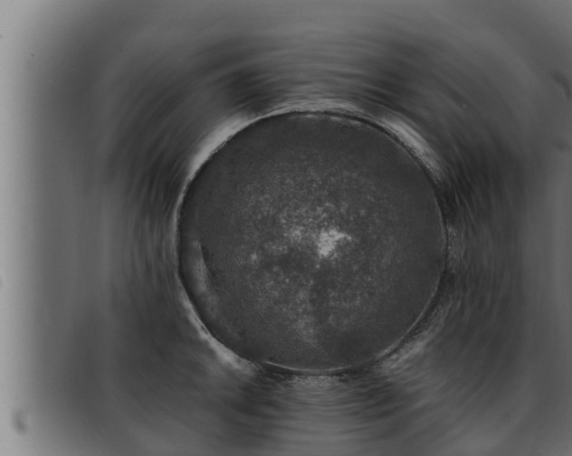 X0000093491046200710121502