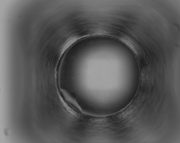 X0000093491047200710121502