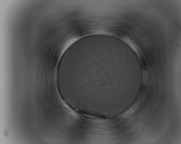 X0000093491048200710121502