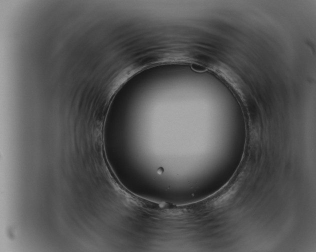X0000093491049200710121502