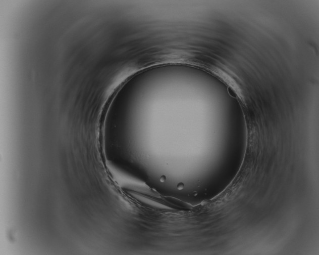 X0000093491051200710121502