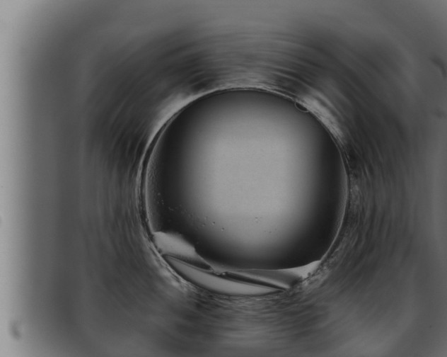 X0000093491052200710121502