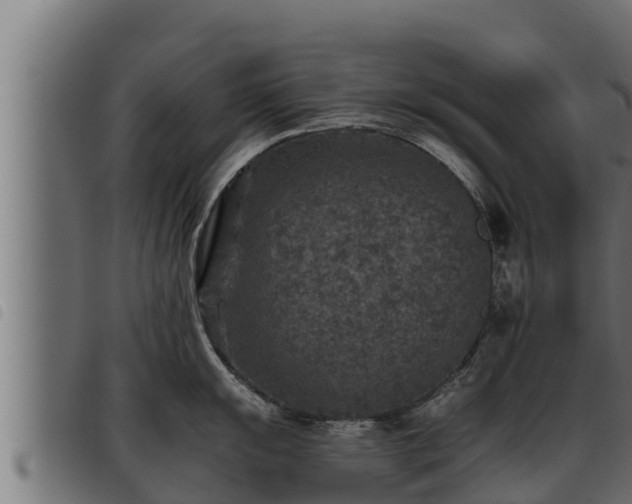 X0000093491055200710121503
