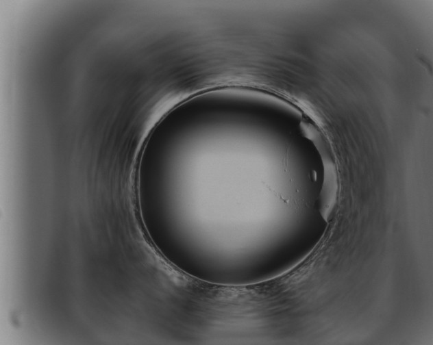 X0000093491056200710121503