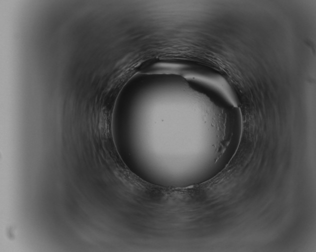 X0000093491058200710121502
