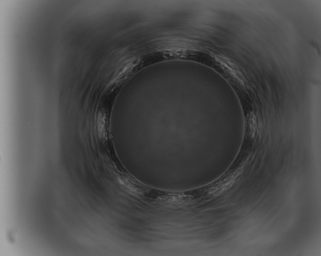 X0000093491060200710121502