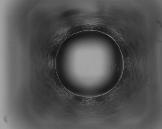 X0000093491061200710121502