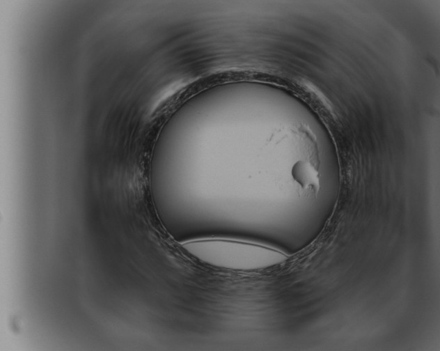 X0000093491064200710121502