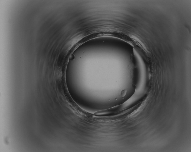 X0000093491065200710121502
