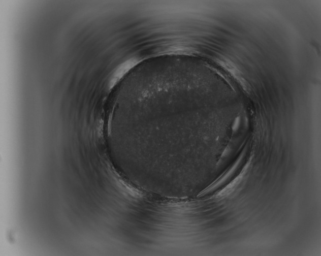 X0000093491066200710121502
