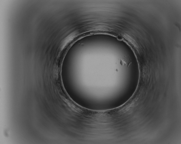 X0000093491067200710121502