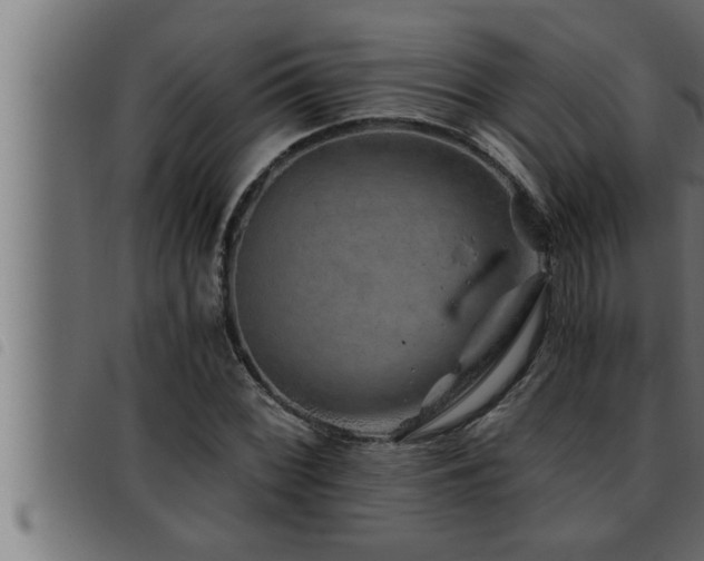 X0000093491068200710121502
