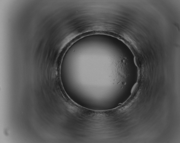 X0000093491070200710121502