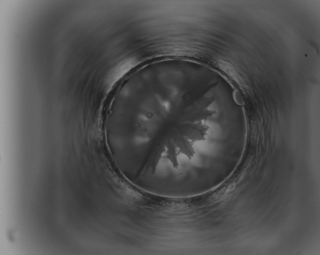 X0000093491071200710121502